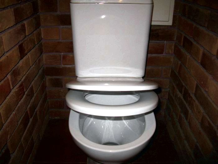 Выбор правильного сиденья для туалета